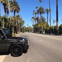 Отзыв от Георгий - виза ДТВ